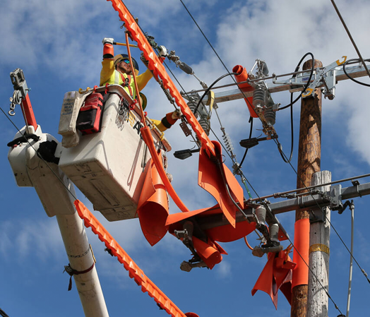 Mechanical & Electrical Engineering